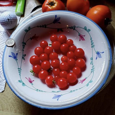 Tidy Treats, (F1) Tomato Seeds - Packet image number null
